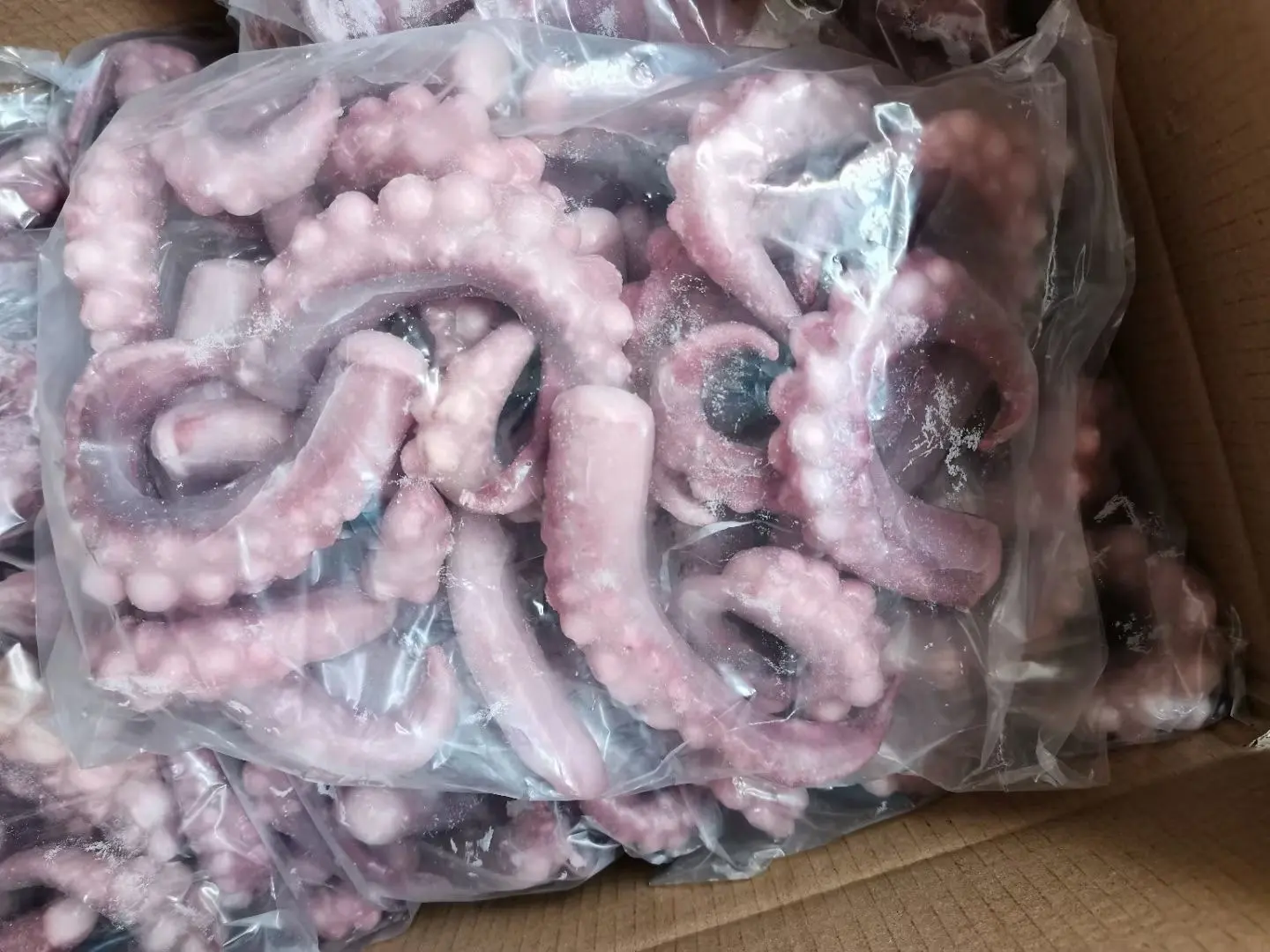 Obral besar IQF ujung Organ seksual cumi Frozen berbagai bagian termasuk cincin tentakel tas garam bunga Petualangan kuliner cumi