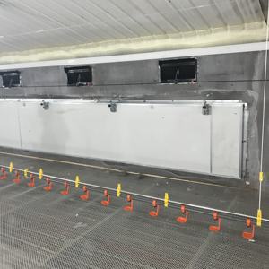 Las líneas de alimentación de patos para aves de corral dispuestas en filas - Product Image 1