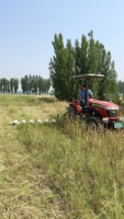 Tondeuse à disques Mengbei Feidao légère, idéale pour l'entretien des pâturages, la coupe de l'alfalfa