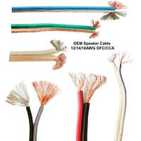 Câble de haut-parleur RCA haute flexibilité 2 conducteurs rouge noir pour systèmes audio professionnels et automobiles