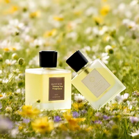 Diffuseur d'huiles essentielles personnalisé de qualité supérieure AIKUN, parfum, vaporisateur, décoration de la maison et du bureau, ambiance élégante, diffuseur d'aromathérapie