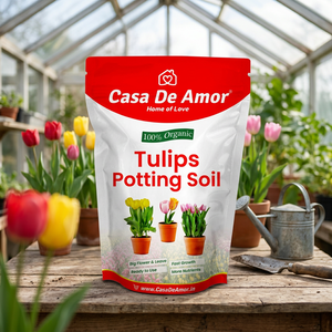 กระถางปลูกต้นไม้แบบใช้ซ้ำได้ Casa De Amor Tulips ผลิตจากวัสดุธรรมชาติ 100% พร้อมใช้งาน - Product Image 3