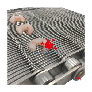 Rejilla de descarga de alambre de acero inoxidable de alta calidad, máquina de cinta transportadora, malla de eslabones de cadena, tejido liso, rejilla de descarga de plástico soldada para - Product Image 5