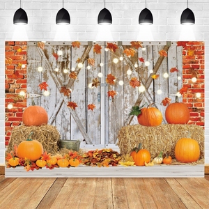 Sonbahar çiftlik ahır depo zemin Backdrop kabak sepeti saman bebek portre fotoğrafçılığı arka fotoğraf fotoğraf stüdyosu - Product Image 2