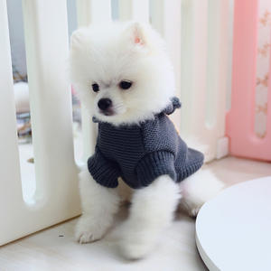 Lindo Otoño Invierno prendas de vestir exteriores estrellas Jacquard chaqueta abrigo directo de fábrica de lujo perros tela mascota suéter ropa sudaderas con capucha para mascotas - Product Image 5