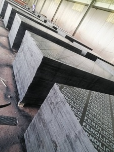 Matériaux de Construction contreplaqué à Film de 18mm/contreplaqué de volet en béton - Product Image 3
