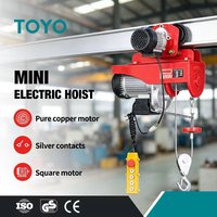 Mini-treuil électrique Toyo Crane Economy 220V Pa100 Pa200 Pa300 Pa400 Pa990 Pa1200 avec télécommande et chariot électrique