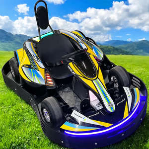 Nuovo Prodotto 2026: Go-Kart Elettrico per Parchi Divertimento, Alta Velocità, per Uso Interno ed Esterno - Product Image 1