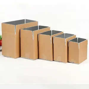 Eis-Kaltbehalt-Schachtel Verbundwerkstoff-Kühler-Schachtel für Lebensmittelverpackung Karton Kaltlebensmittel isoliert Versand Lieferung