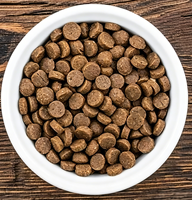 Nourriture pour chats cuite au four, formule personnalisée OEM/ODM, nutrition saine et équilibrée, complète et adaptée à toutes les étapes de vie - Saveur poulet, vente d'usine