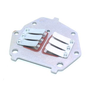 Kit de soupapes d'admission pour moteur hors-bord Dongfa 2 temps 9,8 CV 3B2-02110-0 pour remplacement et réparation - Product Image 4