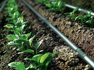 <span class=keywords><strong>Tubo</strong></span> per <span class=keywords><strong>irrigazione</strong></span> a goccia da 16 mm <span class=keywords><strong>con</strong></span> gocciolatore interno rotondo, avvolgitubo da giardino per sistemi di <span class=keywords><strong>irrigazione</strong></span> agricola - Product Image 6