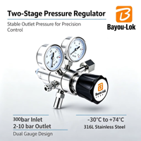 Régulateur B17 à deux étages en acier inoxydable, entrée 300 bars, haute précision, haute pression différentielle, pour N2, Ar, He, CO2, GPL, produits corrosifs de haute pureté, 1/4 NPT