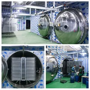 Commercial Fruits And Vegetable Dryer/vacuum Freeze Fruit And Vegetable Lyophilizer Dried Drying Machine Liofilizador Industrial