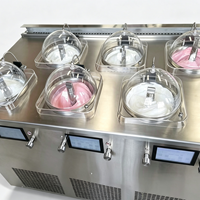 Macchina Automatica Professionale per Gelato Artigianale Italiano a Doppio Cilindro con Display Integrato in Acciaio Inossidabile per Latte