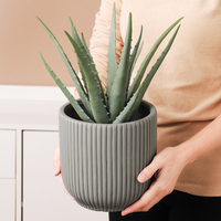 Fournitures de jardin, décoration intérieure, petits pots à fleurs en céramique blanche modernes, pots de bonsaï, pots de fleurs, vente en gros