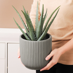 Fournitures <span class=keywords><strong>de</strong></span> <span class=keywords><strong>jardin</strong></span>, décoration intérieure, petits pots à fleurs en céramique blanche modernes, pots <span class=keywords><strong>de</strong></span> bonsaï, pots <span class=keywords><strong>de</strong></span> fleurs, vente en gros - Product Image 3