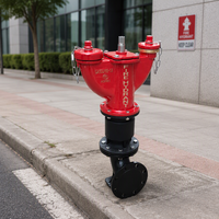 Hydrant d'incendie extérieur en fonte TIEAN, modèle au sol, équipement de lutte contre l'incendie durable