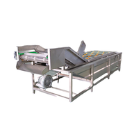Bellenreinigingsmachine voor groenteverwerkingsbedrijven, bladgroenten, vers fruit, waterbellen