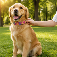 Sangle en sangle élastique tressée diagonale en fil mélangé personnalisé pour laisse de chien, collier pour animaux de compagnie, équipement de plein air, sangle de sac à dos – Usine OEM ODM