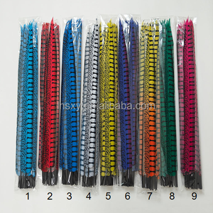 Piume di Fagiano da 65 cm Personalizzabili in Colore e Dimensione, Produttore con MOQ Basso per Costumi Festivi e Decorazioni di Abbigliamento - Product Image 2