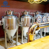 Machine à bière artisanale miniature de 100 litres, équipement de brassage