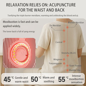 Appareil de Moxibustion Portable Tech Love pour Soulager les Douleurs Dorsales – Outil de Thérapie à Domicile pour la Santé des Points d'Acupuncture - Product Image 2