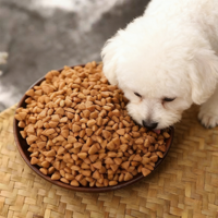 Aliments secs pour chiens sans céréales, riches en protéines, pour toutes les étapes de vie, en gros, 5 kg/10 kg, nourriture pour animaux de compagnie en vrac