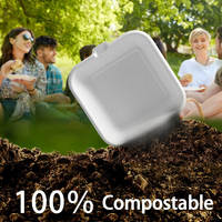 Wegwerp Eco-Vriendelijke Bento Box Meelage Opslag Food Prep Lunchbox Fruitsalade Hamburger Cake Verpakking
