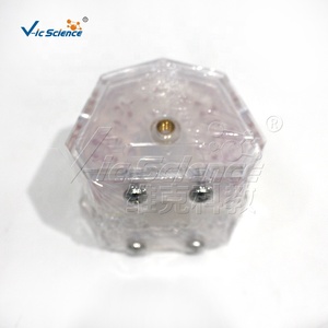 Modèle dentaire standard blanc complet avec arrangement et occlusion dentaires réalistes - Product Image 4