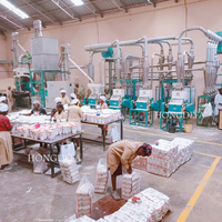 Machine moulin à maïs 30 tonnes par jour avec prix machine à moudre la farine de maïs manuelle moulin à maïs monophasé