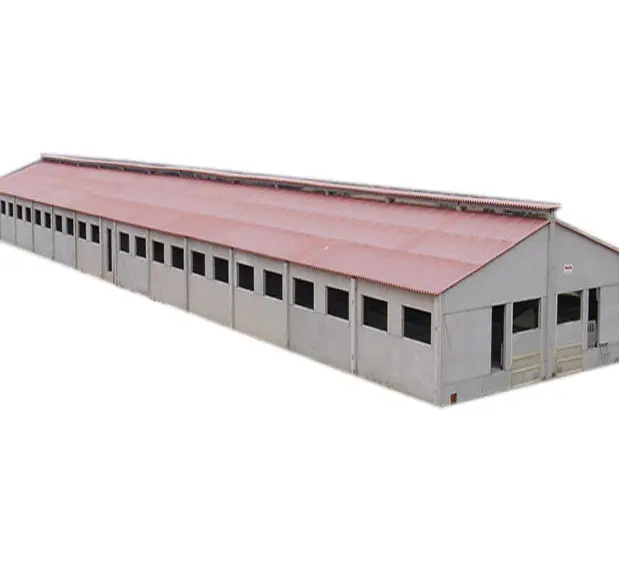 Light Steel Frame Prefabricated Steel Structure Pig House Cowshed Barn Horse Stable from Qingdao China