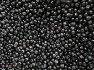Vente en gros de produits frais à bon prix Bleuets biologiques congelés de culture sauvage congelés pour l'exportation - Product Image 6