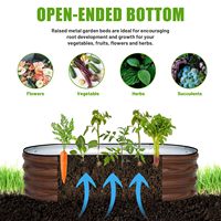 Boîte de jardinière en acier portable de haute qualité grands lits de jardin surélevés ovales galvanisés extérieurs pour une utilisation intérieure/extérieure pour les légumes
