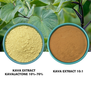 Healthife nước hòa tan số lượng lớn Kava Kava gốc bột 10:1 1kg Kava Kava chiết xuất từ rễ bột - Product Image 2