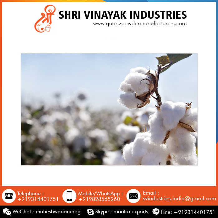 Wholesale Cotton 100% Pure Organic Raw Cotton Buy From Indian Exporter