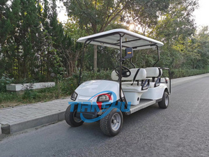 Buggy de golf eléctrico con carrito trasero equipado con posición de pie carrito de golf eléctrico todoterreno Club buggy - Product Image 1
