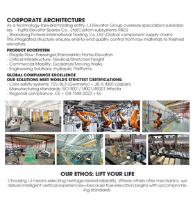 Заводская цена 3-этажные 2-местные виллы-небольшой лифт для дома 2-3-го этажа 4-местные мини-виллы Лифт по низкой цене - Product Image 6