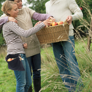 Bolsa de recolección de frutas para exteriores, bolsa de almacenamiento impermeable montada en la cintura, equipo de recolección de frutas, uso Unisex para acampar - Product Image 4