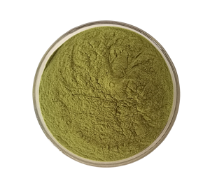 Polvo de extracto de <span class=keywords><strong>Echinacea</strong></span> <span class=keywords><strong>Purpurea</strong></span> orgánico de alta calidad - Product Image 1