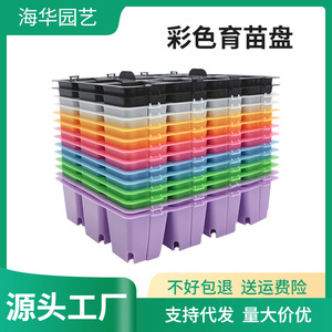 Bandeja de semillero colorida de 12 orificios, reutilizable, de plástico, para jardinería en casa - Product Image 5