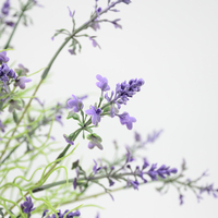 Bunga Lavender Buatan Gaya Baru Tangkai Tunggal Buatan Tangan Perlengkapan Fotografi Dekorasi Rumah Bunga Artifisial