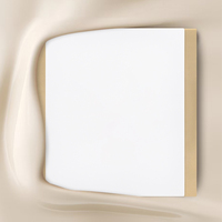 Interruptores y Enchufes de Pared WESA Ultrafinos con Botón Pulsador EU 1/2/3 Vías, Enchufe de Alimentación de 1 Vía, Combinación Libre, Diseño Moderno de Lujo