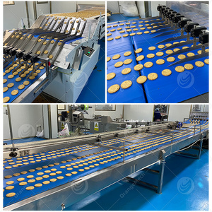 Máquina Eléctrica Automática ORME para Hacer Galletas a Pequeña Escala, Línea de Producción de Galletas con Forma de Animales, Galletas Hello Panda - Product Image 6