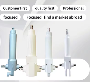 Hydraulik zylinder mit 200mm Hub für Krankenhaus bett, Schönheits bett, medizinisches Bett und Massage bett - Product Image 3