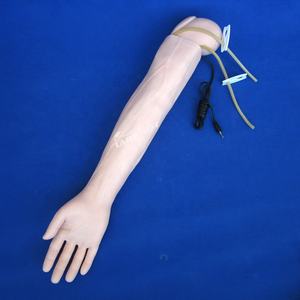 Modèle d'entraînement pour <span class=keywords><strong>la</strong></span> <span class=keywords><strong>mesure</strong></span> de <span class=keywords><strong>la</strong></span> <span class=keywords><strong>pression</strong></span> artérielle, vente chaude - Product Image 1