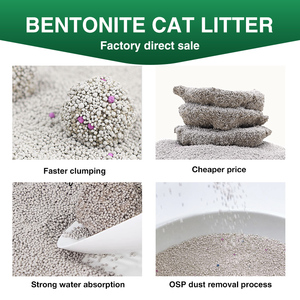 Arena para Gatos de Bentonita Hidrosoluble, Granulada y Aglomerante, con Desodorización Eficiente, para Proveedores de Artículos para Mascotas - Product Image 3