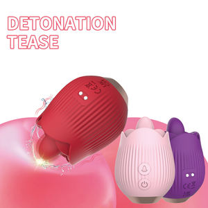 Hot Seller G-Spot Lip Zuigen Vrouwelijke Speelgoed Krachtige Borst Massager Bedrade Zachte Siliconen Tepel En Clitoris Stimulatie Roos - Product Image 4