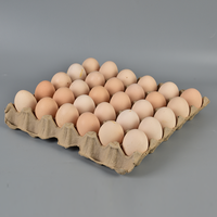Plateaux à œufs en pulpe moulée empilables à 30 alvéoles, 100 % compostables et biodégradables, pour stockage d'œufs de ferme – Approvisionnement direct usine