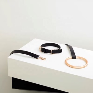 Correa de perro de cuero de lujo con asa de anillo de metal, Correa y collar de perro de alta calidad para cachorros y gatos - Product Image 4